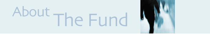 About The Fund
